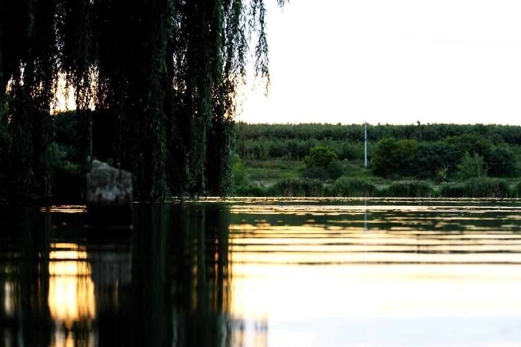 Korona Szallo Hotell Nagykanizsa Exteriör bild